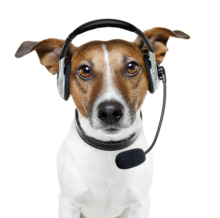 Служба поддержки 